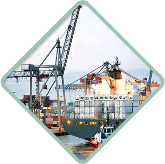 Export and Logistics